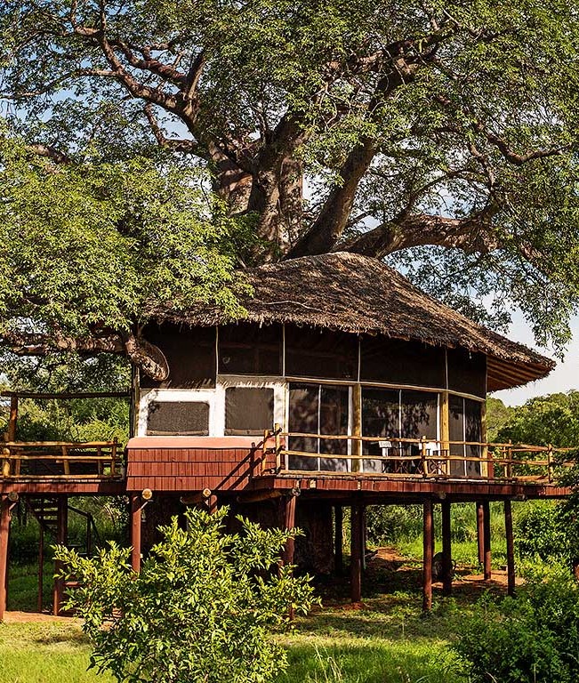 Tarangire Treetops accommodation exterior view of Treehouse Suite